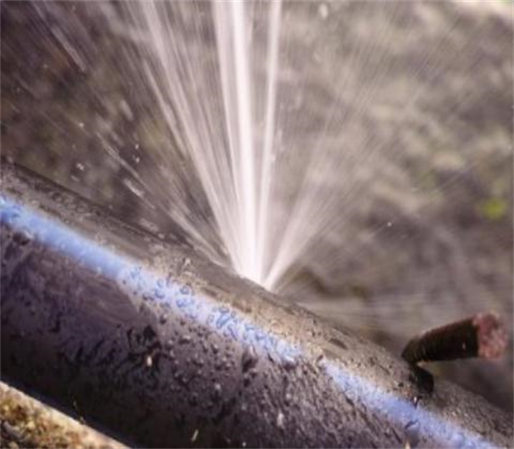 Fugas de gas, tuberías rotas o tapadas, derrame de agua en el tanque de WC, , fregadero, cambio de empaques en cualquier llave de chorro de agua, lavado de tinacos y cisternas.